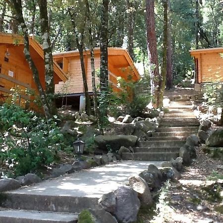 Auberge De La Foret Bonifatu Calenzana Kültér fotó