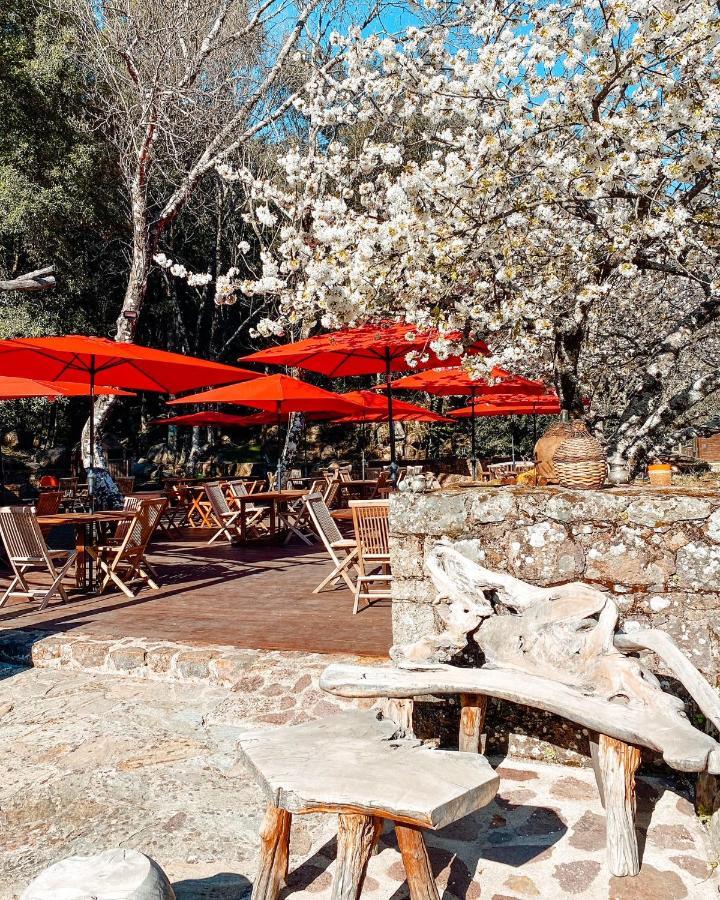 Auberge De La Foret Bonifatu Calenzana Kültér fotó