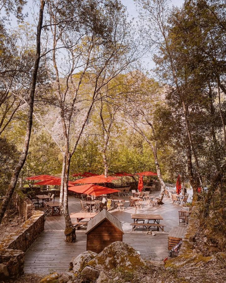 Auberge De La Foret Bonifatu Calenzana Kültér fotó