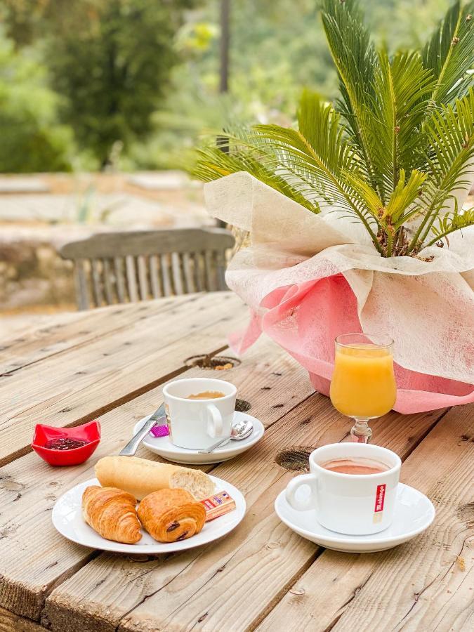Auberge De La Foret Bonifatu Calenzana Kültér fotó