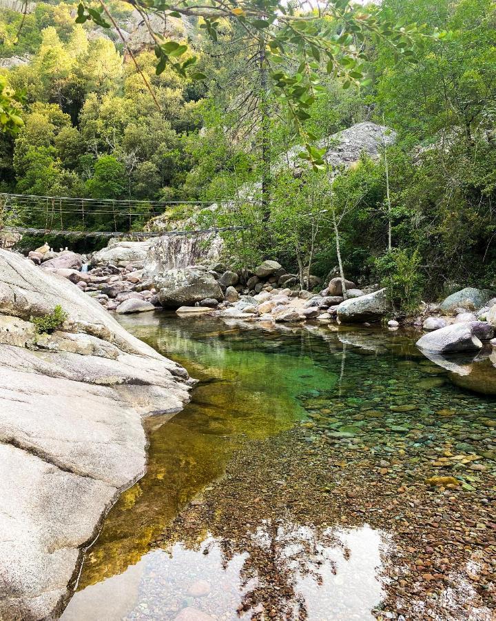 Auberge De La Foret Bonifatu Calenzana Kültér fotó