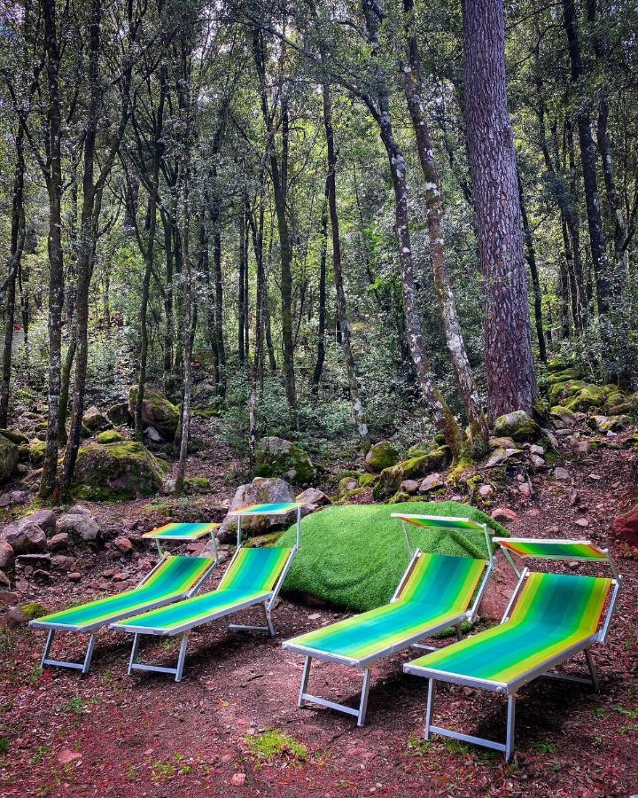 Auberge De La Foret Bonifatu Calenzana Kültér fotó