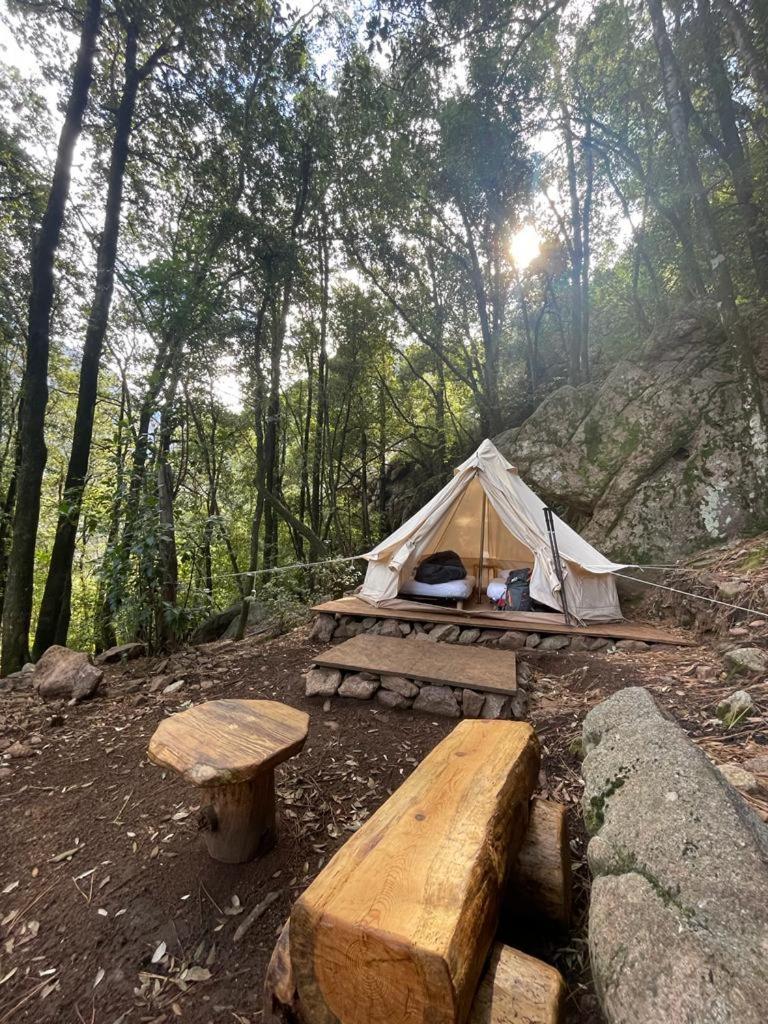 Auberge De La Foret Bonifatu Calenzana Kültér fotó